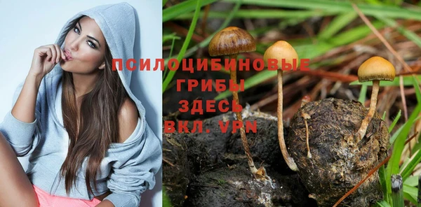 герыч Алзамай